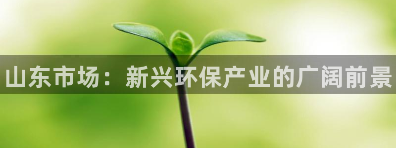 天辰平台你的专属平台是什么：山东市场：新兴环保产业